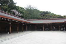 <展示会場>本殿(外院東回廊)